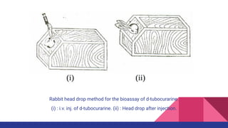 BIOASSAY OF SKELETAL NEUROMUSCULAR JUNCTION BLOCKER (2) (1).pdf