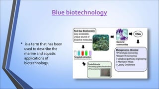 Blue biotechnology
• is a term that has been
used to describe the
marine and aquatic
applications of
biotechnology.
 