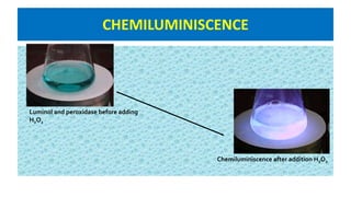 CHEMILUMINISCENCE
Luminol and peroxidase before adding
H2O2
Chemiluminiscence after addition H2O2
 