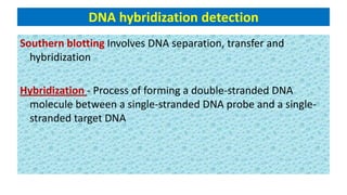 DNA hybridization detection
Southern blotting Involves DNA separation, transfer and
hybridization
Hybridization - Process of forming a double-stranded DNA
molecule between a single-stranded DNA probe and a single-
stranded target DNA
 
