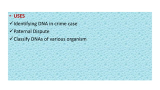 • USES
Identifying DNA in crime case
Paternal Dispute
Classify DNAs of various organism
 