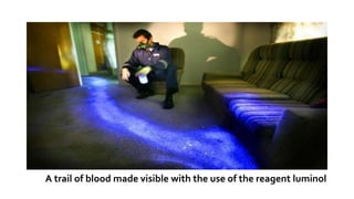 A trail of blood made visible with the use of the reagent luminol
 