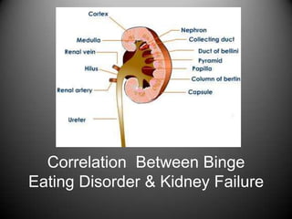 Correlation Between Binge
Eating Disorder & Kidney Failure
 