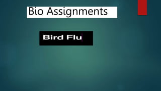 Bio Assignments
 