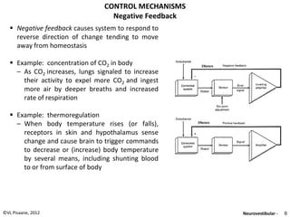 Bioastronautics: Space Exploration and its Effects on the Human Body ...