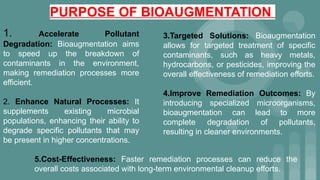 BIOREMEDIATION -BIOAUGMENTATION - INSITU AND EXSITU BIOAUGMENTATION | PPTX