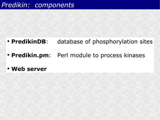 Predikin:  components <ul><li>PredikinDB : database of phosphorylation sites </li></ul><ul><li>Predikin.pm : Perl module t...