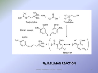 BIOAUTOGRAPHY AND ITS APPLICATIONS.pptx | Skin Care | Beauty