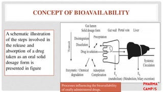 CONCEPT OF BIOAVAILABILITY
A schematic illustration
of the steps involved in
the release and
absorption of a drug
taken as an oral solid
dosage form is
presented in figure
Processes influencing the bioavailability
of orallyadministered drugs.
 