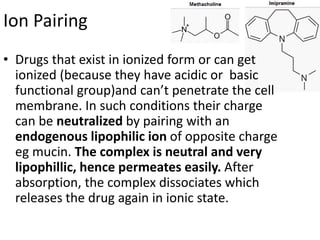 Ion Pairing
• Drugs that exist in ionized form or can get
ionized (because they have acidic or basic
functional group)and can’t penetrate the cell
membrane. In such conditions their charge
can be neutralized by pairing with an
endogenous lipophilic ion of opposite charge
eg mucin. The complex is neutral and very
lipophillic, hence permeates easily. After
absorption, the complex dissociates which
releases the drug again in ionic state.
 