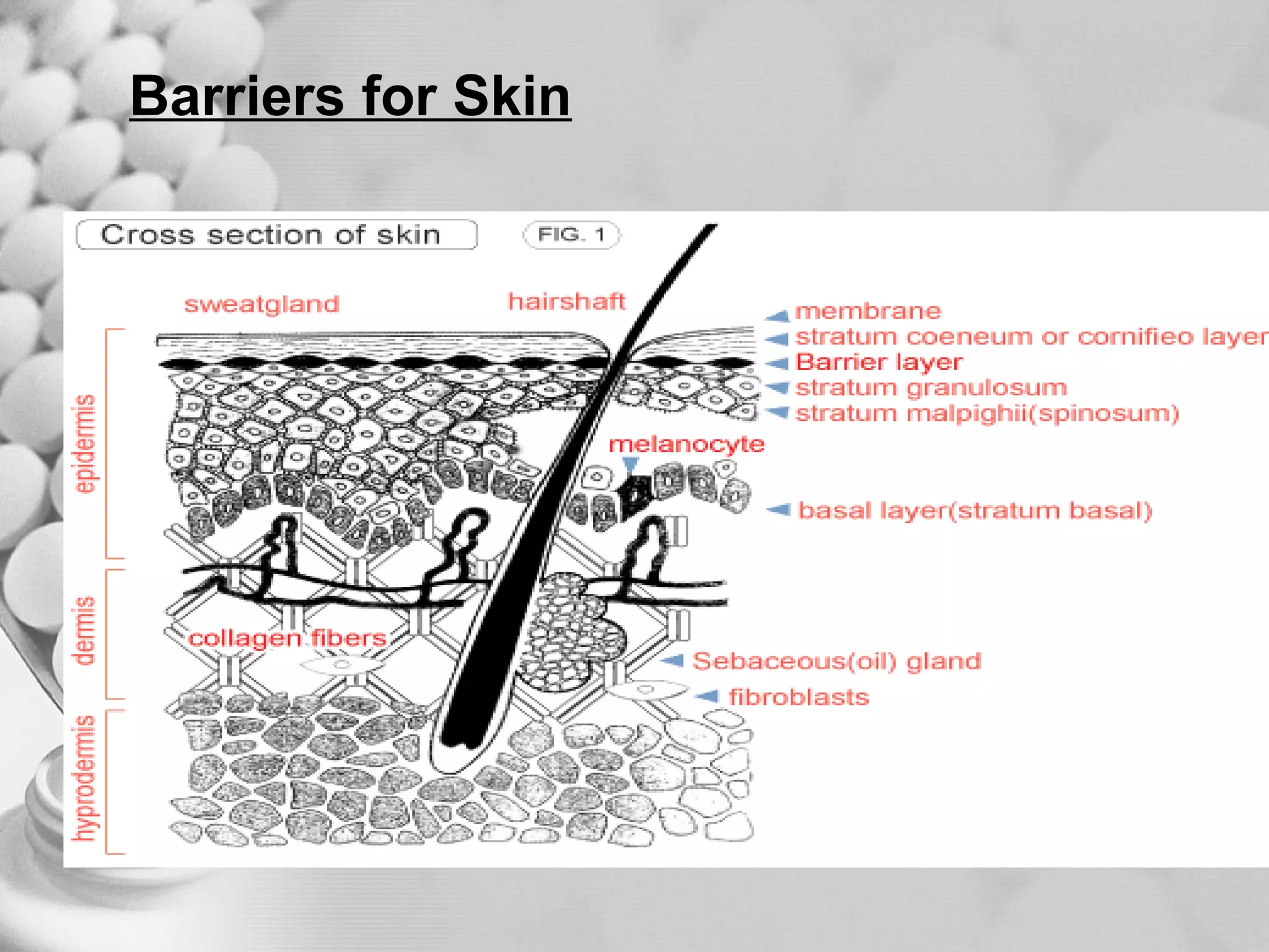 Barriers for Skin 