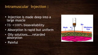 Retrudide Injection Bioavailability of drug through iv,im | PPTX