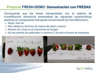 Concluyendo que las fresas transportadas con el sistema de
humidificación ultrasónica presentaban las siguientes características
positivas en comparación transporte convencional (sin humidificación):
Mayor vida útil
Alta calidad en términos de mejora del sabor y aroma
Retraso de 3 días en el crecimiento de hongos
No hay pérdida de polifenoles ni vitamina C durante el tiempo de transporte
Proyecto FRESH-DEMO: Demostración con FRESAS
 