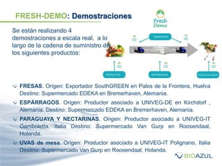 Se están realizando 4
demostraciones a escala real, a lo
largo de la cadena de suministro de
los siguientes productos:
FRESH-DEMO: Demostraciones
FRESAS. Origen: Exportador SouthGREEN en Palos de la Frontera, Huelva
Destino: Supermercado EDEKA en Bremerhaven, Alemania.
ESPÁRRAGOS. Origen: Productor asociado a UNIVEG-DE en Kirchdorf ,
Alemania. Destino: Supermercado EDEKA en Bremerhaven, Alemania.
PARAGUAYA Y NECTARINAS. Origen: Productor asociado a UNIVEG-IT
Gamboletta, Italia Destino: Supermercado Van Gurp en Roosendaal,
Holanda.
UVAS de mesa. Origen: Productor asociado a UNIVEG-IT Polignano, Italia
Destino: Supermercado Van Gurp en Roosendaal, Holanda.
 