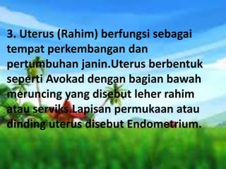 3. Uterus (Rahim) berfungsi sebagai
tempat perkembangan dan
pertumbuhan janin.Uterus berbentuk
seperti Avokad dengan bagian bawah
meruncing yang disebut leher rahim
atau serviks.Lapisan permukaan atau
dinding uterus disebut Endometrium.
 