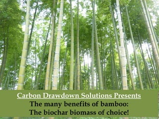 Carbon Drawdown Solutions Presents
The many benefits of bamboo:
The biochar biomass of choice!
Carbon Drawdown Solutions Presents
The many benefits of bamboo:
The biochar biomass of choice!
 