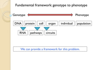 Biobanking a user’s perspective: Dr. Jonathan Pevsner | PDF