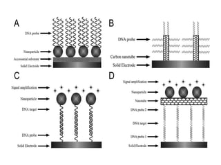 BIOBARCODE | PPT