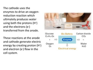 The cathode uses the
enzymes to drive an oxygen-
reduction reaction which
ultimately produces water
using both the protons (H+
)
and the electrons (e-
)
transferred from the anode.
These reactions at the anode
and cathode generate electric
energy by creating proton (H+
)
and electron (e-
) flow in the
cell system.
 