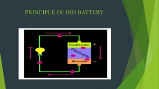 PRINCIPLE OF BIO BATTERY
 