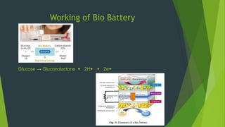 Working of Bio Battery
Glucose → Gluconolactone + 2H+ + 2e−
 