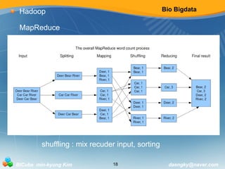 Bio Bigdata 
Hadoop 
MapReduce 
shuffling : mix recuder input, sorting 
BICube min-kyung Kim 18 daengky@naver.com 
 