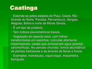 Caatinga
 Estende-se pelos estados do Piauí, Ceará, Rio
Grande do Norte, Paraíba, Pernambuco, Sergipe,
Alagoas, Bahia e norte de Minas Gerais.
 É um tipo de pradaria.
 Tem índices pluviométricos baixos.
 Vegetação de aspecto seco, com folhas
transformadas em espinhos, cutículas altamente
impermeáveis, caules que armazenam água (plantas
xeromórficas). No período chuvoso, temos abundância
de plantas herbáceas e as árvores de flores e frutos.
 Exemplos: mandacaru, xique-xique, macambira,
barriguda.
 