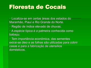 Floresta de Cocais
 Localiza-se em certas áreas dos estados do
Maranhão, Piauí e Rio Grande do Norte.
 Região de índice elevado de chuvas.
 A espécie típica é a palmeira conhecida como
babaçu.
 Tem importância econômica, das sementes
extrai-se óleo e as folhas são utilizadas para cobrir
casas e para a fabricação de utensílios
domésticos.
 