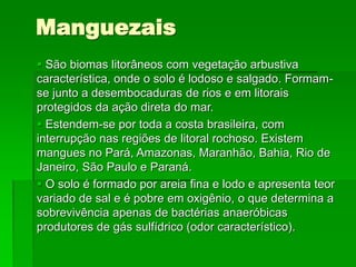 Manguezais
 São biomas litorâneos com vegetação arbustiva
característica, onde o solo é lodoso e salgado. Formam-
se junto a desembocaduras de rios e em litorais
protegidos da ação direta do mar.
 Estendem-se por toda a costa brasileira, com
interrupção nas regiões de litoral rochoso. Existem
mangues no Pará, Amazonas, Maranhão, Bahia, Rio de
Janeiro, São Paulo e Paraná.
 O solo é formado por areia fina e lodo e apresenta teor
variado de sal e é pobre em oxigênio, o que determina a
sobrevivência apenas de bactérias anaeróbicas
produtores de gás sulfídrico (odor característico).
 