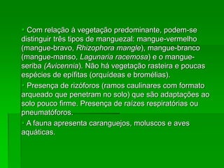  Com relação à vegetação predominante, podem-se
distinguir três tipos de manguezal: mangue-vermelho
(mangue-bravo, Rhizophora mangle), mangue-branco
(mangue-manso, Lagunaria racemosa) e o mangue-
seriba (Avicennia). Não há vegetação rasteira e poucas
espécies de epífitas (orquídeas e bromélias).
 Presença de rizóforos (ramos caulinares com formato
arqueado que penetram no solo) que são adaptações ao
solo pouco firme. Presença de raízes respiratórias ou
pneumatóforos.
 A fauna apresenta caranguejos, moluscos e aves
aquáticas.
 