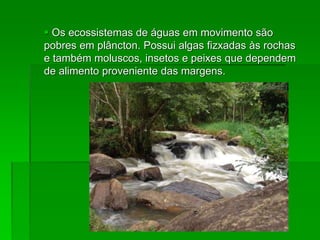  Os ecossistemas de águas em movimento são
pobres em plâncton. Possui algas fizxadas às rochas
e também moluscos, insetos e peixes que dependem
de alimento proveniente das margens.
 