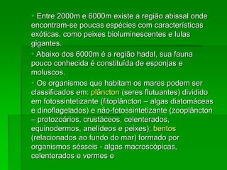  Entre 2000m e 6000m existe a região abissal onde
encontram-se poucas espécies com características
exóticas, como peixes bioluminescentes e lulas
gigantes.
 Abaixo dos 6000m é a região hadal, sua fauna
pouco conhecida é constituída de esponjas e
moluscos.
 Os organismos que habitam os mares podem ser
classificados em: plâncton (seres flutuantes) dividido
em fotossintetizante (fitoplâncton – algas diatomáceas
e dinoflagelados) e não-fotossintetizante (zooplâncton
– protozoários, crustáceos, celenterados,
equinodermos, anelídeos e peixes); bentos
(relacionados ao fundo do mar) formado por
organismos sésseis - algas macroscópicas,
celenterados e vermes e
 