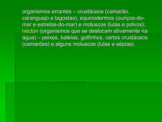 organismos errantes – crustáceos (camarão,
caranguejo e lagostas), equinodermos (ouriços-do-
mar e estrelas-do-mar) e moluscos (lulas e polvos);
nécton (organismos que se deslocam ativamente na
água) – peixes, baleias, golfinhos, certos crustáceos
(camarões) e alguns moluscos (lulas e sépias).
 