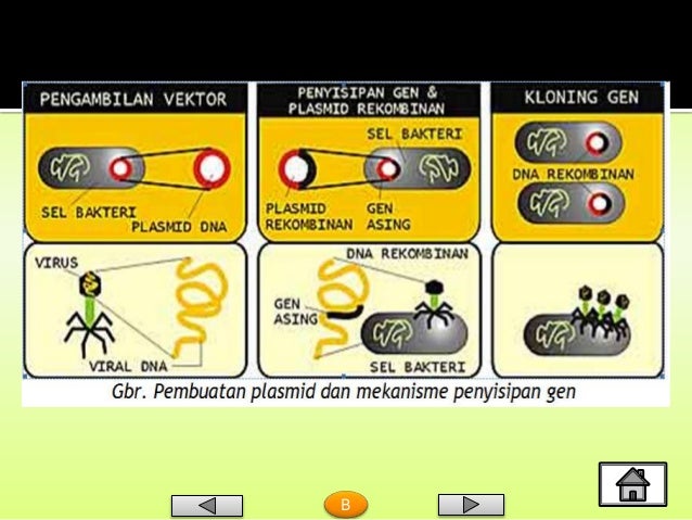 Bioteknologi