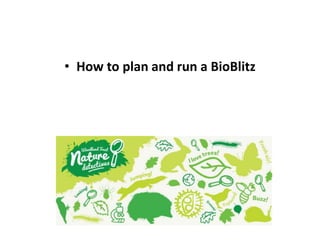 Bio blitz & citizen science projects | PPTX