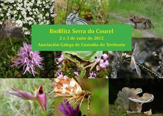 BioBlitz Serra do Courel
          2 e 3 de xuño do 2012
Asociación Galega de Custodia do Territorio
 