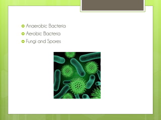  Anaerobic

Bacteria
 Aerobic Bacteria
 Fungi and Spores

 