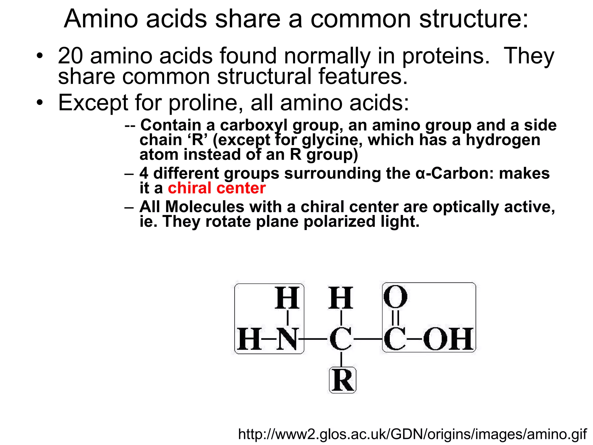 Amino acids share a common structure: 20 amino acids found normally in proteins.  They share common structural features. Except for proline, all amino acids: --  Contain a carboxyl group, an amino group and a side chain ‘R’ (except for glycine, which has a hydrogen atom instead of an R group) 4 different groups surrounding the  α -Carbon: makes it a  chiral center All Molecules with a chiral center are optically active, ie. They rotate plane polarized light. http://www2.glos.ac.uk/GDN/origins/images/amino.gif 