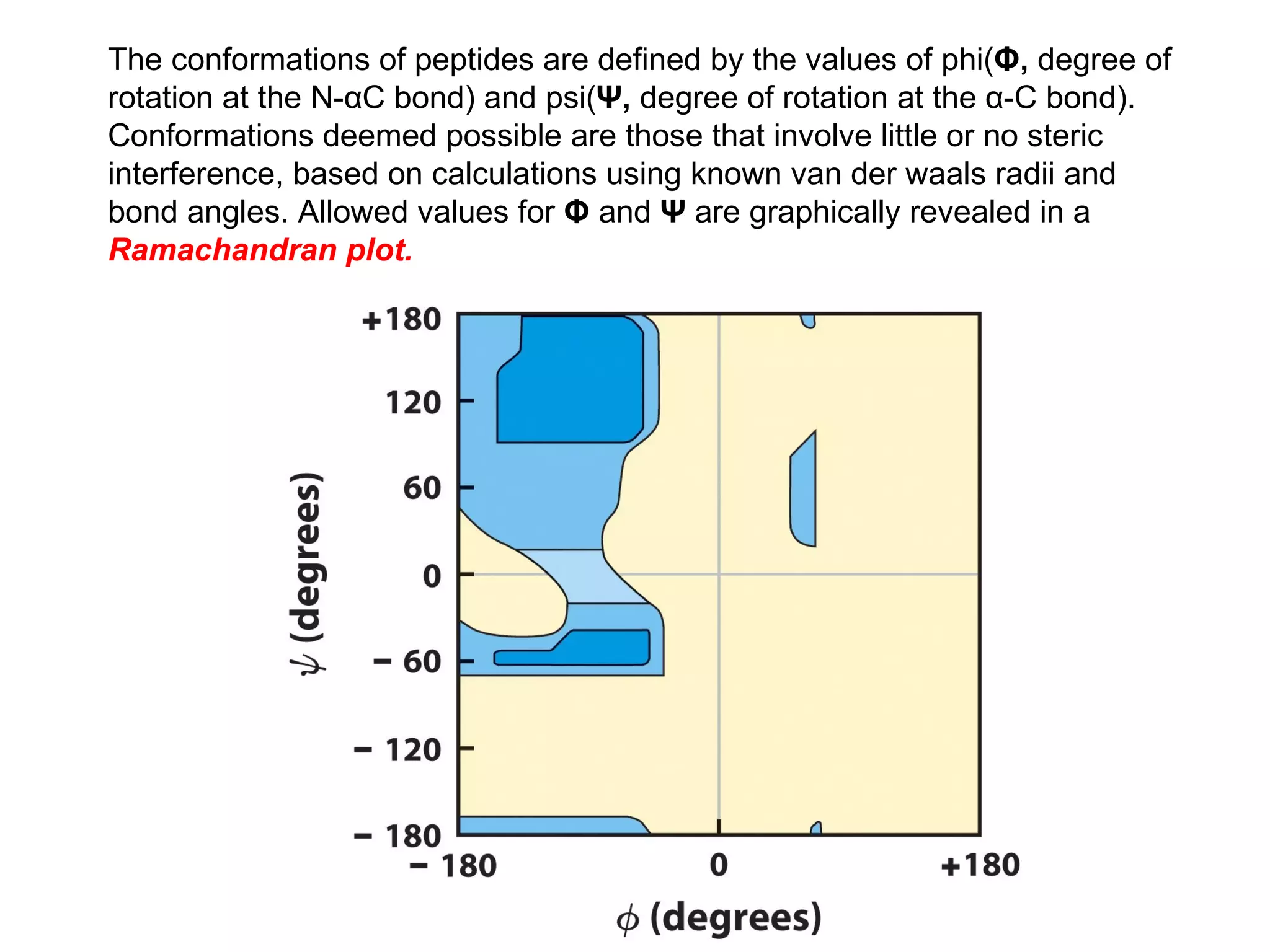 The conformations of peptides are defined by the values of phi( Φ,  degree of rotation at the N- α C bond) and psi( Ψ,  degree of rotation at the  α -C bond). Conformations deemed possible are those that involve little or no steric interference, based on calculations using known van der waals radii and bond angles. Allowed values for  Φ  and  Ψ  are graphically revealed in a  Ramachandran plot. 
