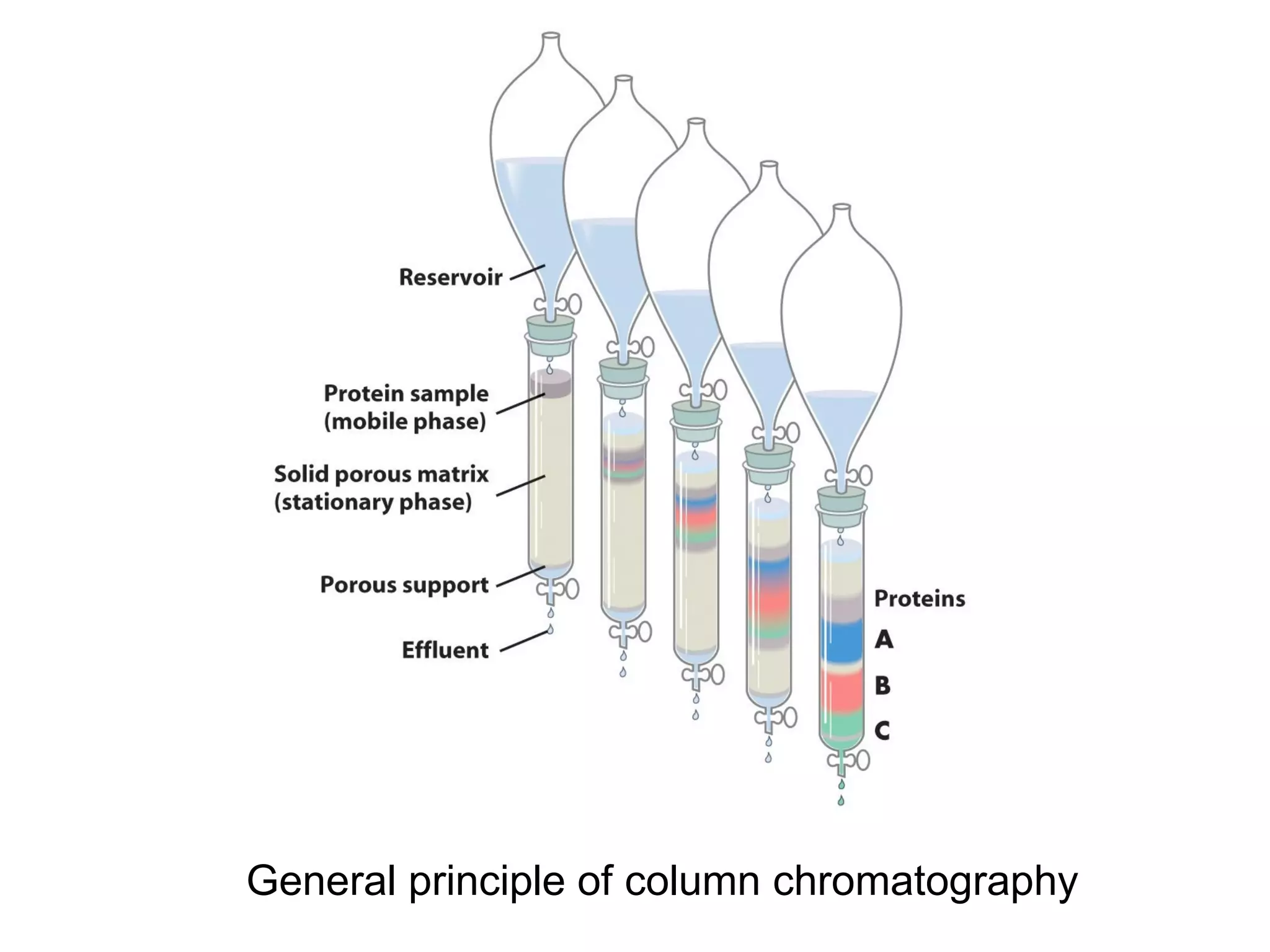 General principle of column chromatography 