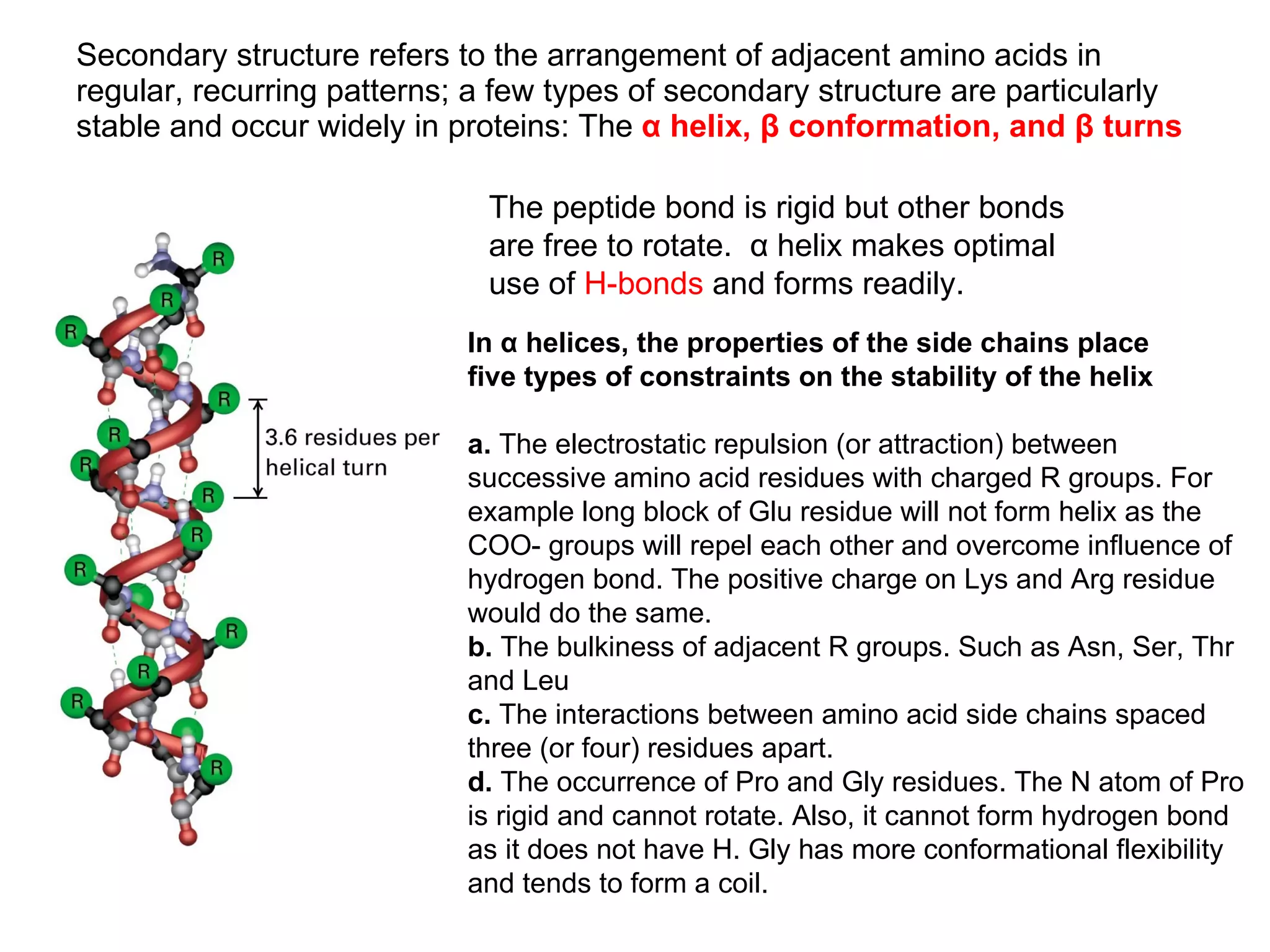 Secondary structure refers to the arrangement of adjacent amino acids in regular, recurring patterns; a few types of secondary structure are particularly stable and occur widely in proteins: The  α helix, β conformation, and β turns The peptide bond is rigid but other bonds are free to rotate.  α helix makes optimal use of  H-bonds  and forms readily. In α helices, the properties of the side chains place five types of constraints on the stability of the helix a.  The electrostatic repulsion (or attraction) between successive amino acid residues with charged R groups. For example long block of Glu residue will not form helix as the COO- groups will repel each other and overcome influence of hydrogen bond. The positive charge on Lys and Arg residue would do the same. b.  The bulkiness of adjacent R groups. Such as Asn, Ser, Thr and Leu c.  The interactions between amino acid side chains spaced three (or four) residues apart. d.  The occurrence of Pro and Gly residues. The N atom of Pro is rigid and cannot rotate. Also, it cannot form hydrogen bond as it does not have H. Gly has more conformational flexibility and tends to form a coil. 