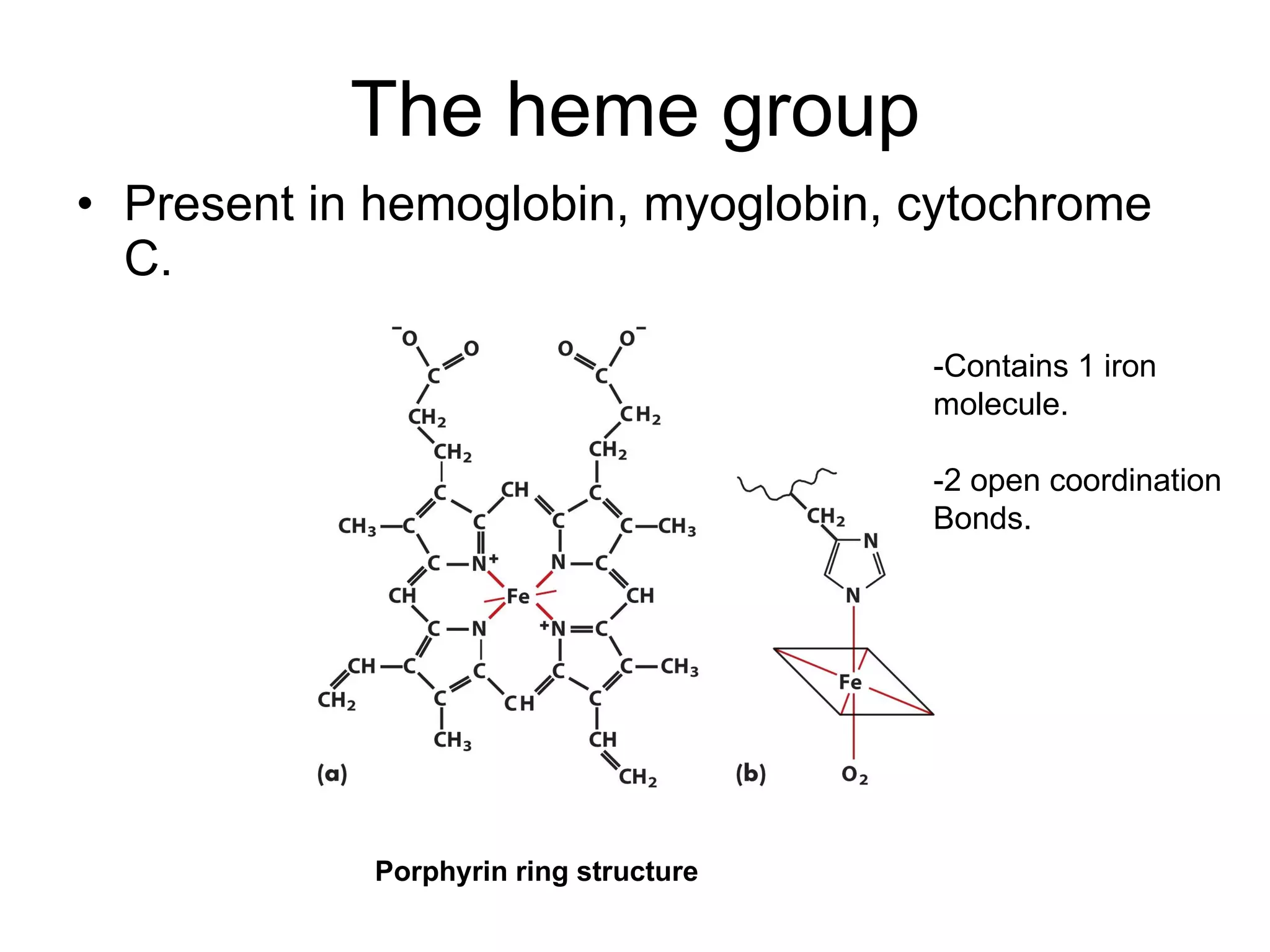 The heme group Present in hemoglobin, myoglobin, cytochrome C. Porphyrin ring structure -Contains 1 iron molecule. -2 open coordination Bonds. 