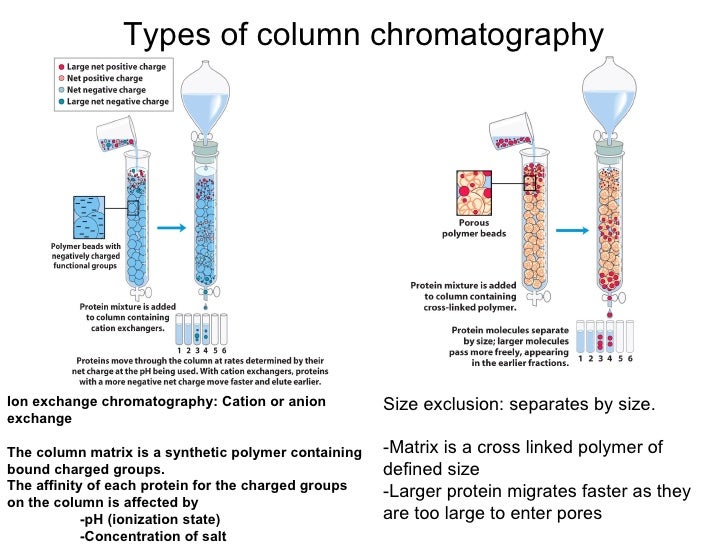 Resource S Cation Exchange Chromatography Column – PQFXHI