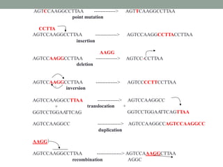 AGTCCAAGGCCTTAA -------------> AGTTCAAGGCCTTAA
point mutation
CCTTA
AGTCCAAGGCCTTAA
insertion
-------------> AGTCCAAGGCCTTACCTTAA
AAGG
------------->AGTCCAAGGCCTTAA
deletion
AGTCC-CCTTAA
AGTCCAAGGCCTTAA
` inversion
AGTCCAAGGCCTTAA
+
GGTCCTGGAATTCAG
AGTCCAAGGCC
-------------> AGTCCCCTTCCTTAA
------------->
translocation +
AGTCCAAGGCC
GGTCCTGGAATTCAGTTAA
-------------->
duplication
AGTCCAAGGCCAGTCCAAGGCC
AAGG
AGTCCAAGGCCTTAA ---------------> AGTCCAAAGGCTTAA
recombination AGGC
 