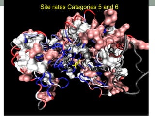 Site rates Categories 5 and 6
 