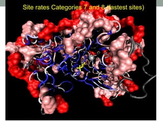 Site rates Categories 7 and 8 (fastest sites)
 