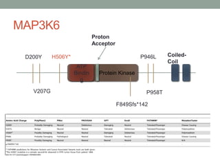 MAP3K6
Protein Kinase
ATP
Bindin
g
Proton
Acceptor
D200Y
V207G
H506Y* P946L
P958T
F849Sfs*142
Coiled-
Coil
 