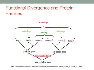 Functional Divergence and Protein
Families
 