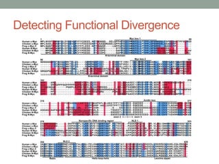 Detecting Functional Divergence
 