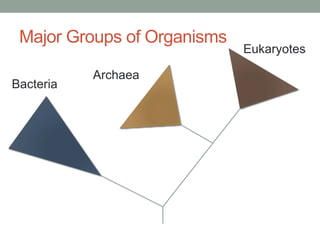 Major Groups of Organisms
Bacteria
Archaea
Eukaryotes
 
